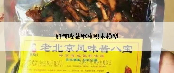 如何收藏军事积木模型