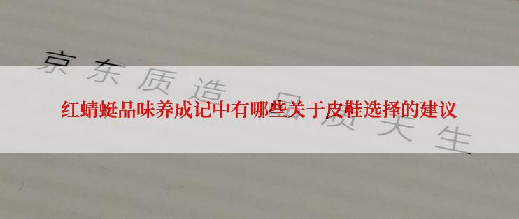 红蜻蜓品味养成记中有哪些关于皮鞋选择的建议