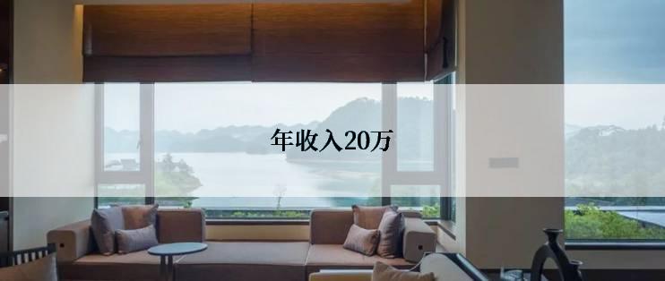 年收入20万