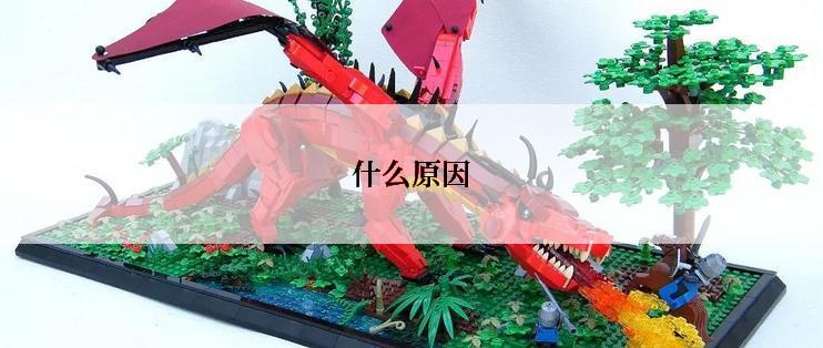 什么原因