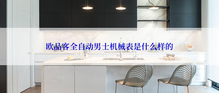 欧品客全自动男士机械表是什么样的