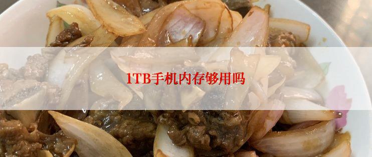 1TB手机内存够用吗