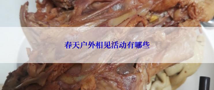 春天户外相见活动有哪些