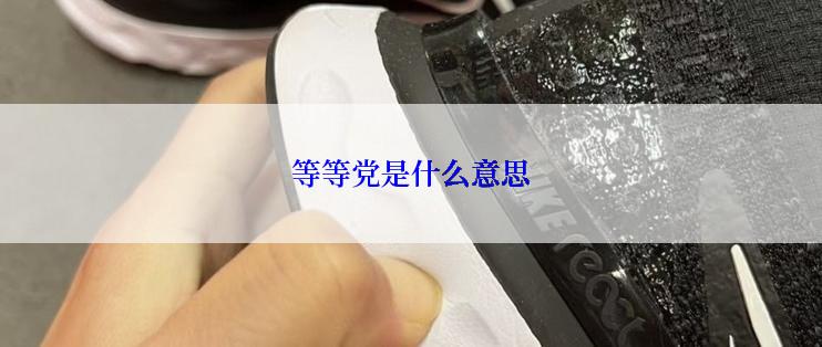 等等党是什么意思