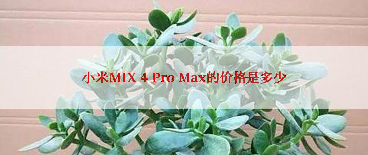 小米MIX 4 Pro Max的价格是多少