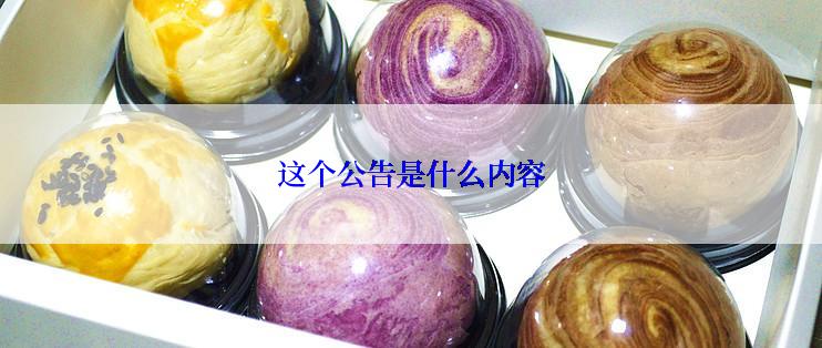 这个公告是什么内容