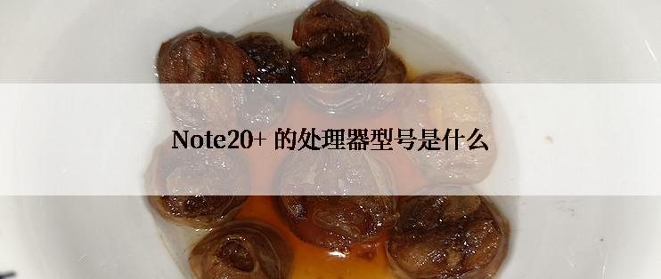 Note20+ 的处理器型号是什么