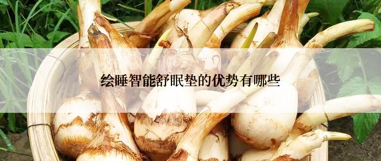 绘睡智能舒眠垫的优势有哪些