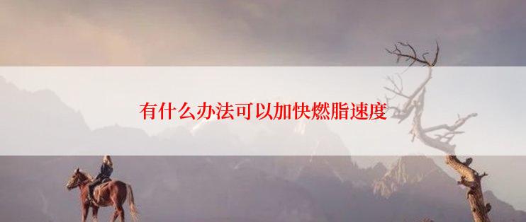 有什么办法可以加快燃脂速度