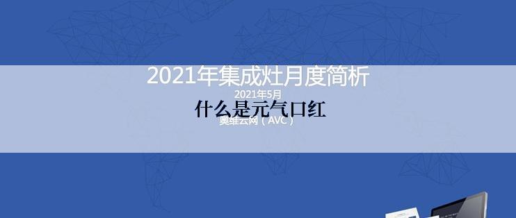  什么是元气口红