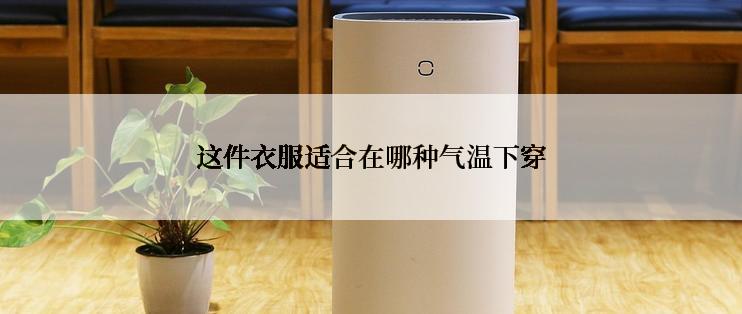 这件衣服适合在哪种气温下穿