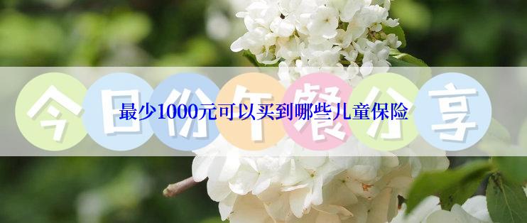 最少1000元可以买到哪些儿童保险