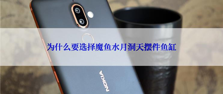 为什么要选择魔鱼水月洞天摆件鱼缸