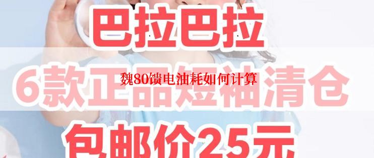  魏80馈电油耗如何计算