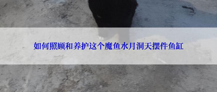 如何照顾和养护这个魔鱼水月洞天摆件鱼缸