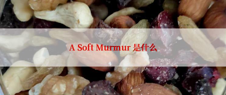 A Soft Murmur 是什么