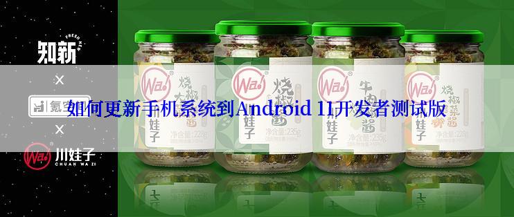 如何更新手机系统到Android 11开发者测试版