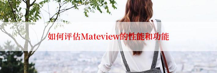 如何评估Mateview的性能和功能