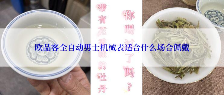 欧品客全自动男士机械表适合什么场合佩戴