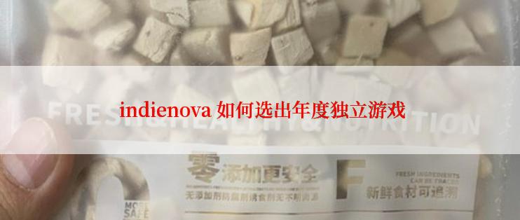  indienova 如何选出年度独立游戏