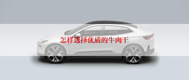 怎样选择优质的牛肉干