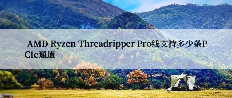  AMD Ryzen Threadripper Pro线支持多少条PCIe通道