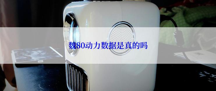 魏80动力数据是真的吗
