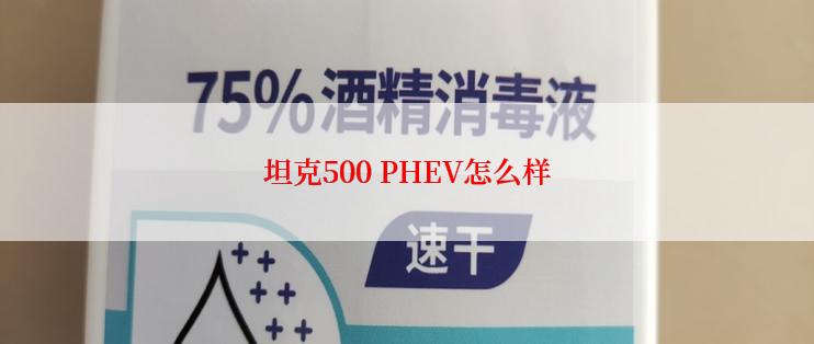 坦克500 PHEV怎么样