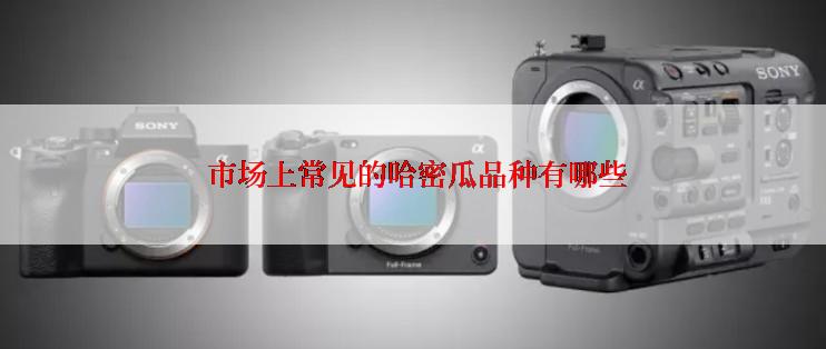  市场上常见的哈密瓜品种有哪些