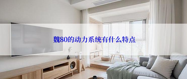  魏80的动力系统有什么特点