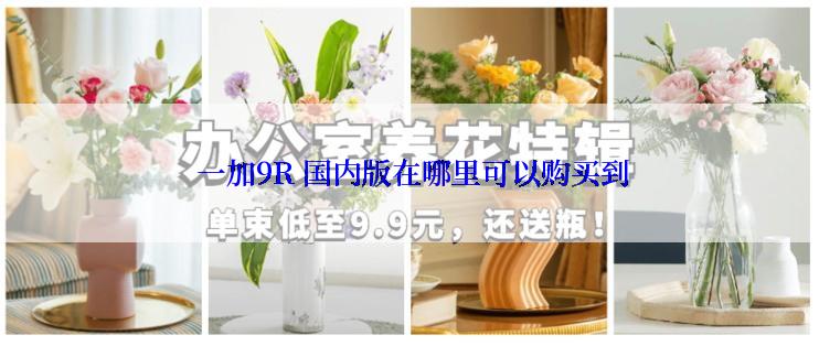  一加9R 国内版在哪里可以购买到