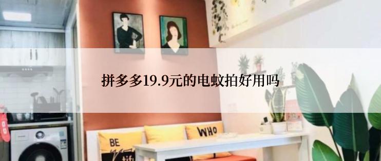 拼多多19.9元的电蚊拍好用吗