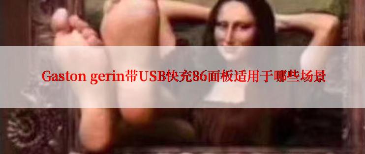  Gaston gerin带USB快充86面板适用于哪些场景