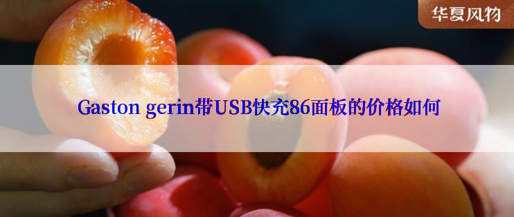  Gaston gerin带USB快充86面板的价格如何