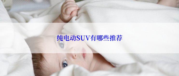 纯电动SUV有哪些推荐