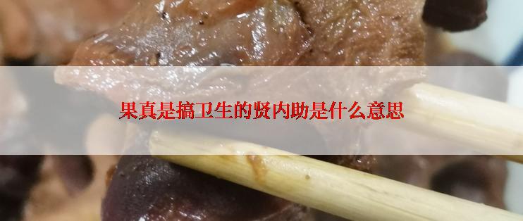 果真是搞卫生的贤内助是什么意思