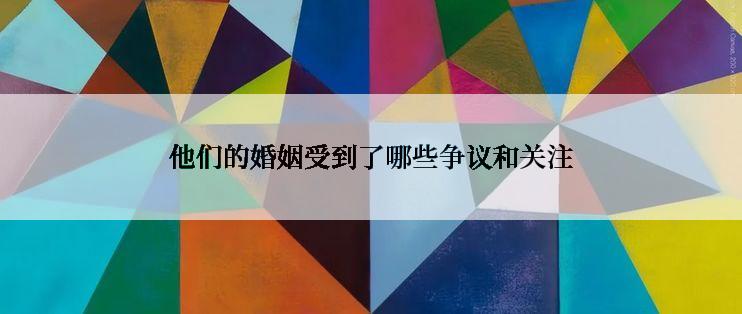 他们的婚姻受到了哪些争议和关注
