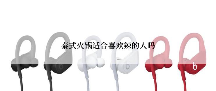 泰式火锅适合喜欢辣的人吗