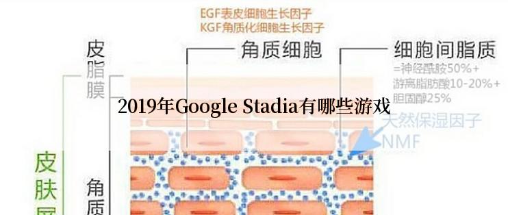 2019年Google Stadia有哪些游戏