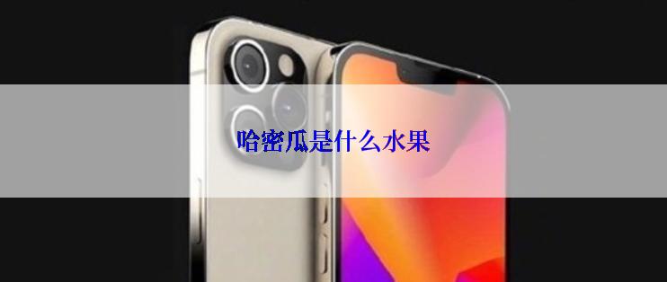 哈密瓜是什么水果