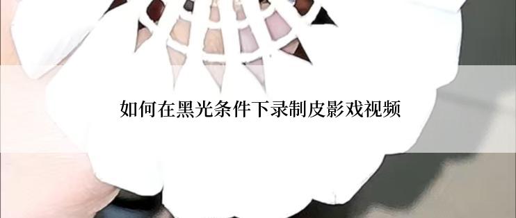  如何在黑光条件下录制皮影戏视频