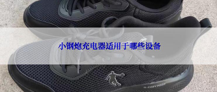  小钢炮充电器适用于哪些设备
