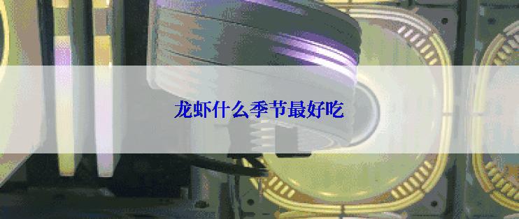 龙虾什么季节最好吃