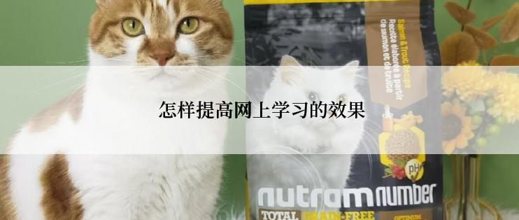  怎样提高网上学习的效果