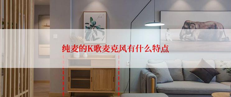 纯麦的K歌麦克风有什么特点