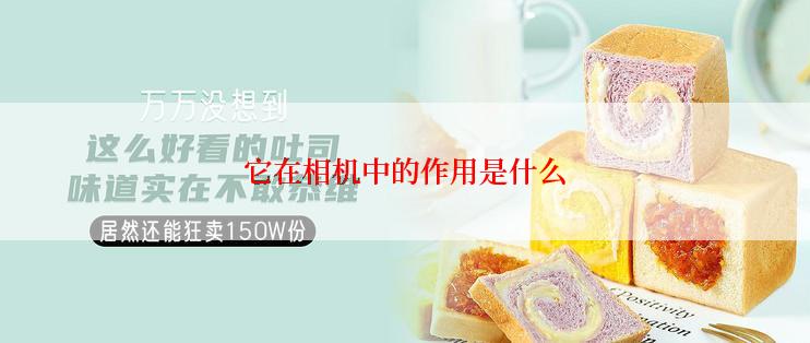 它在相机中的作用是什么