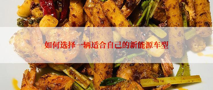 如何选择一辆适合自己的新能源车型