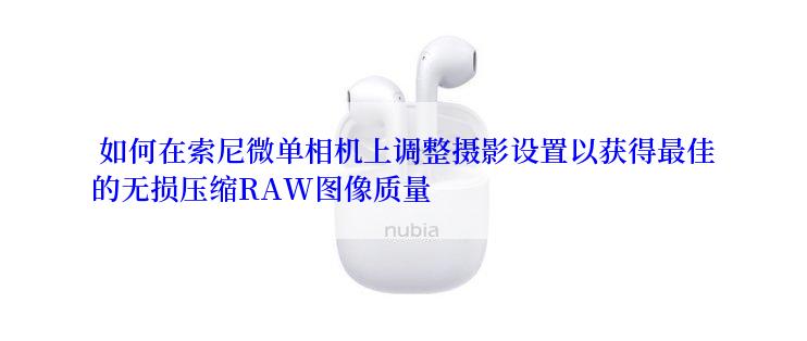  如何在索尼微单相机上调整摄影设置以获得最佳的无损压缩RAW图像质量
