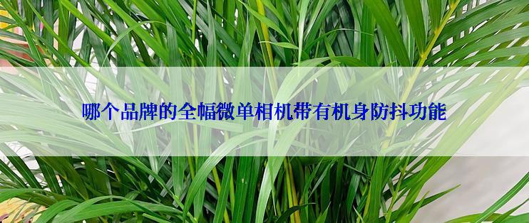 哪个品牌的全幅微单相机带有机身防抖功能