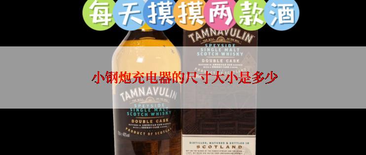 小钢炮充电器的尺寸大小是多少